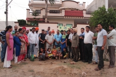 Plantation drive with School's and Colonies 