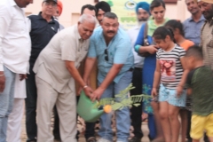 4-6-2018-2-plantation-in-friends-colony