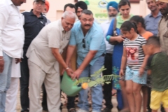 4-6-2018-2-plantation-in-friends-colony